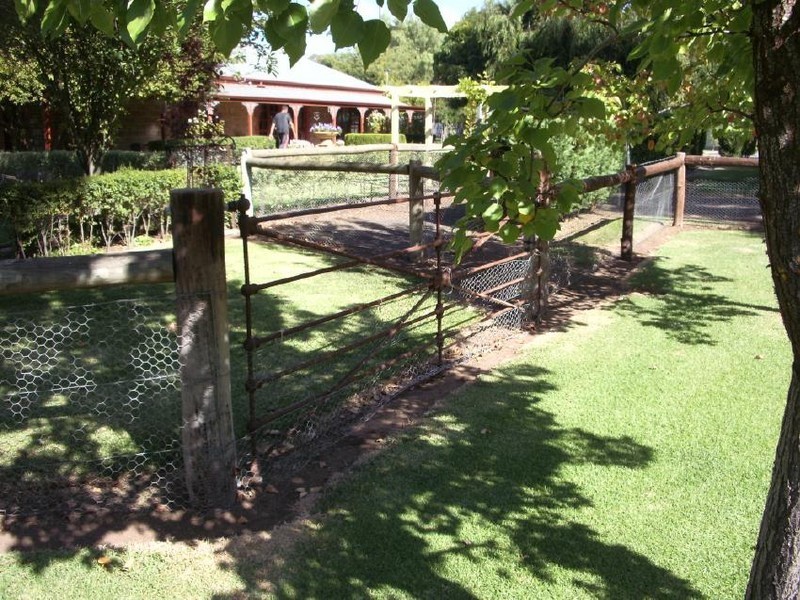 1 Frances Road, Bordertown SA 5268