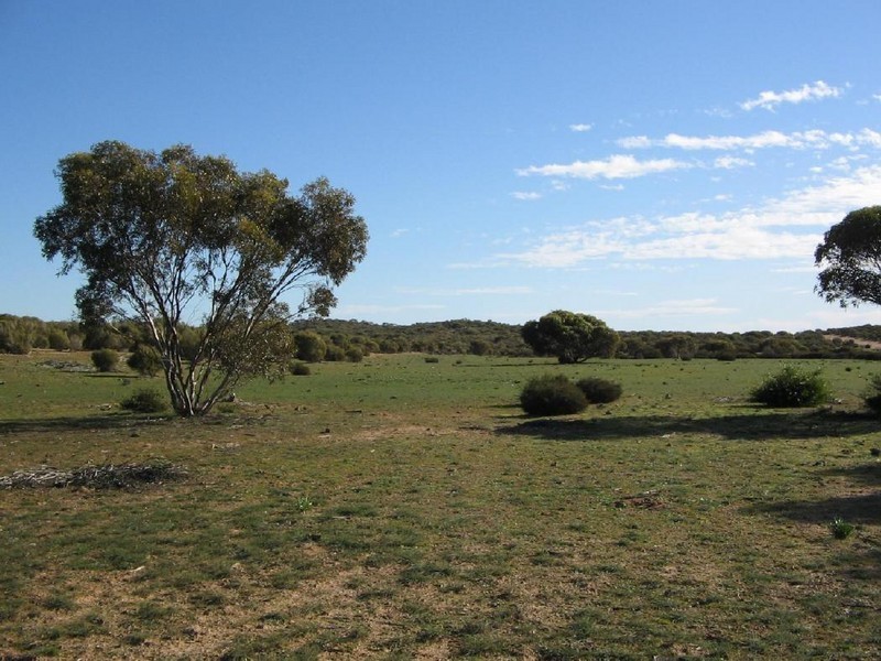 WirhaHills . Alawoona Rd, Lameroo SA 5302