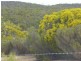 WirhaHills . Alawoona Rd, Lameroo SA 5302