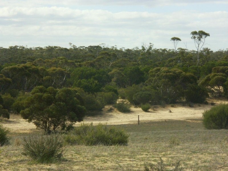 WirhaHills . Alawoona Rd, Lameroo SA 5302