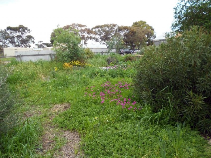 1 Mcleod Street, Bordertown SA 5268