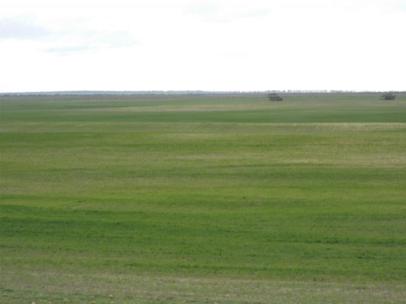 856 Parrakie North Road, Parrakie SA 5301