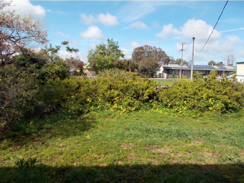 49 Venn Avenue, Bordertown SA 5268