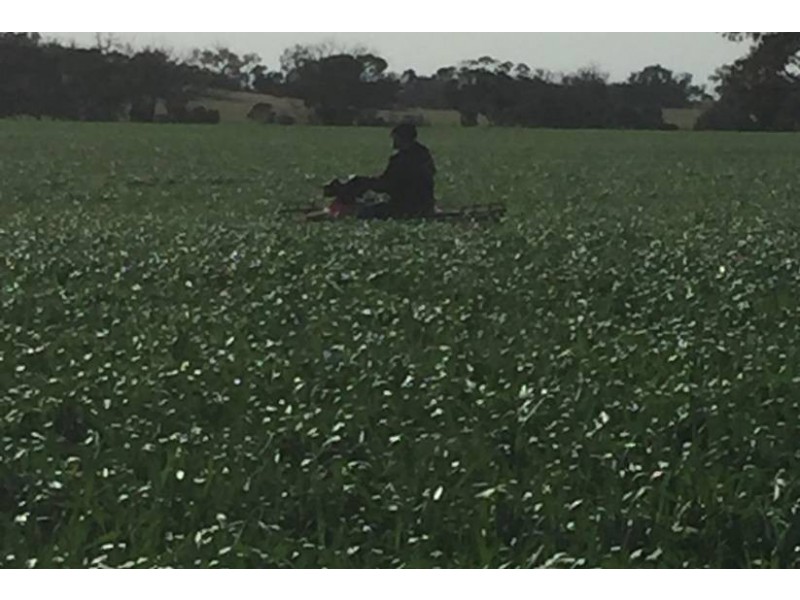 1380 Senior Road, Bordertown SA 5268