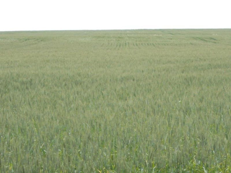 1380 Senior Road, Bordertown SA 5268