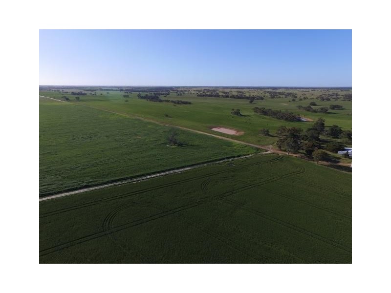 1380 Senior Road, Bordertown SA 5268