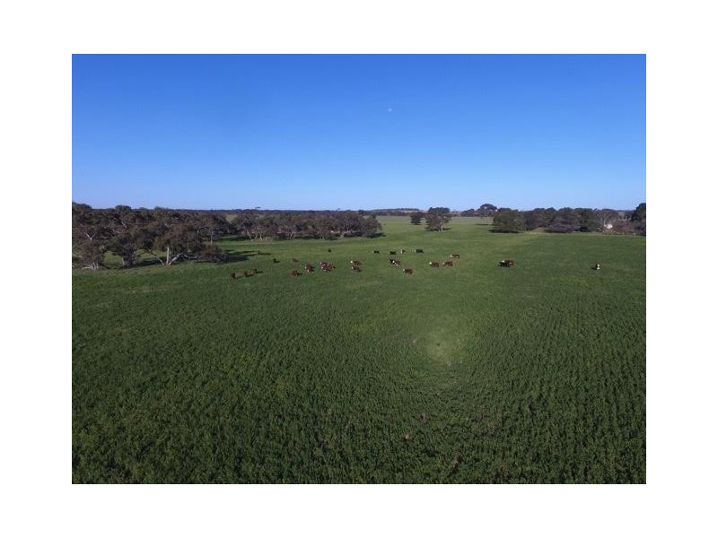 1380 Senior Road, Bordertown SA 5268