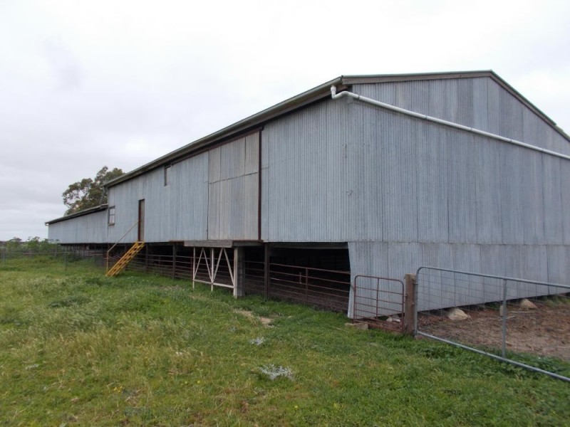 Inglewood Senior Road, Bordertown SA 5268