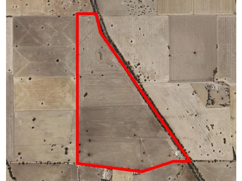 1036 Frances Road, Bordertown South SA 5268