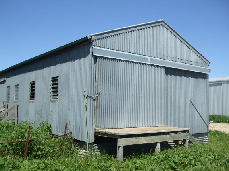 1036 Frances Road, Bordertown South SA 5268