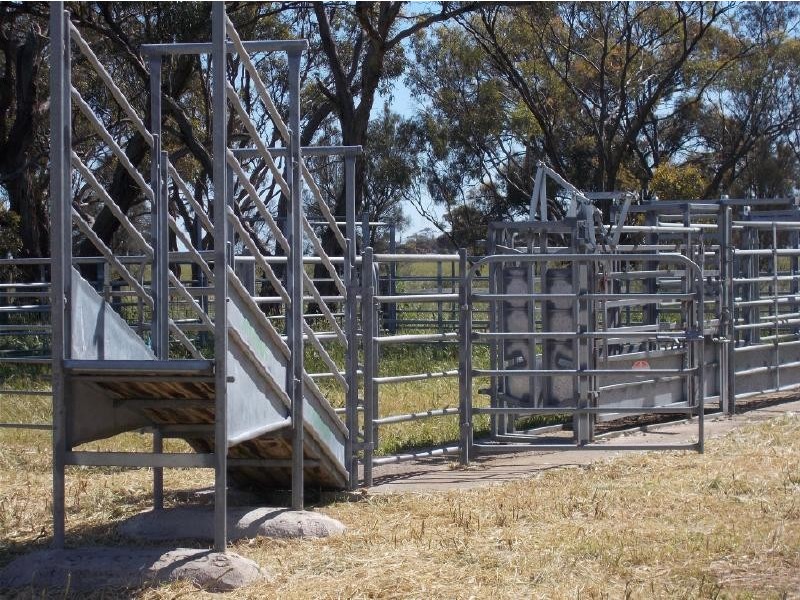 1036 Frances Road, Bordertown South SA 5268