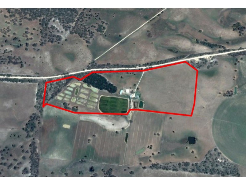 388 Cooper Road, Western Flat SA 5268