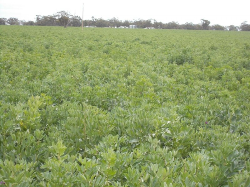 1283 Custon Road, Wolseley SA 5269