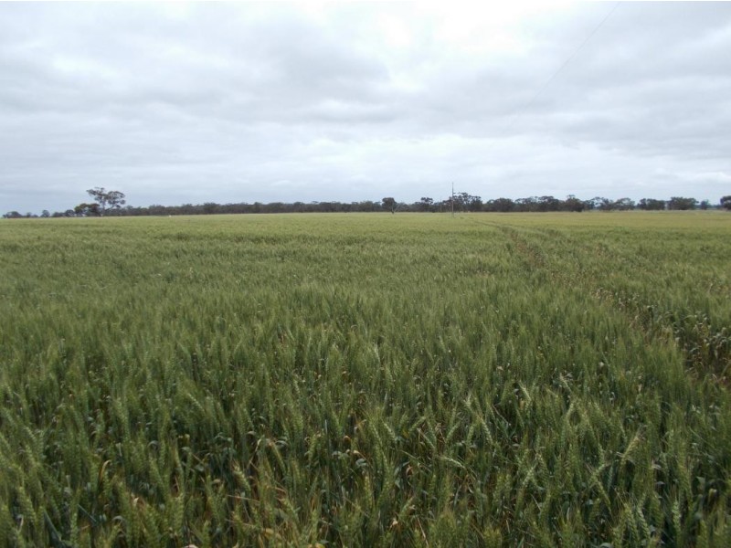 1283 Custon Road, Wolseley SA 5269