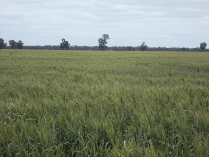 1283 Custon Road, Wolseley SA 5269