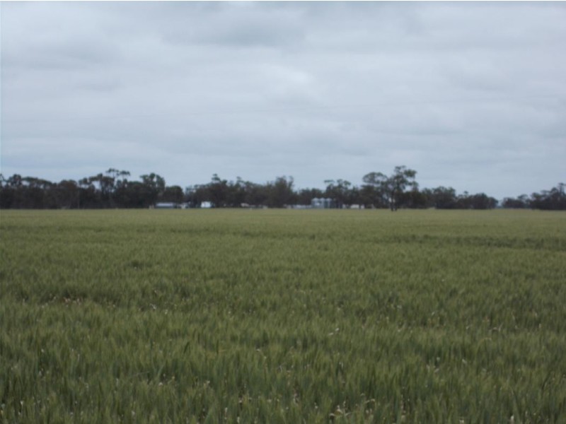 1283 Custon Road, Wolseley SA 5269