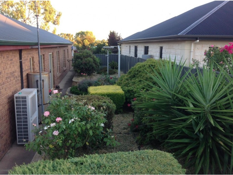 96 South Avenue, Bordertown SA 5268