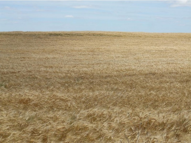 102 Eisen Road, Parilla SA 5303