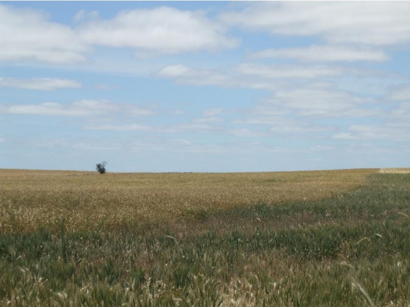 102 Eisen Road, Parilla SA 5303