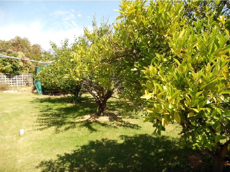 1 Albert Parade, Bordertown SA 5268