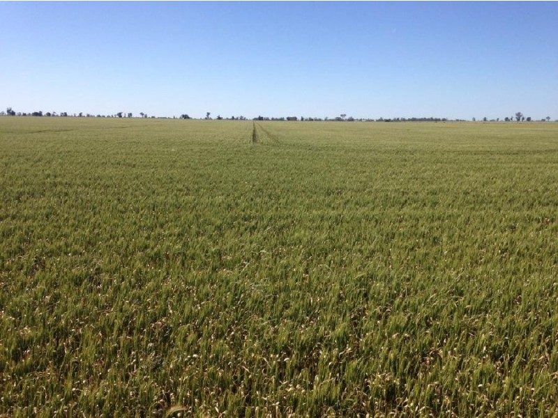 147 Pier Point Road, Wolseley SA 5269