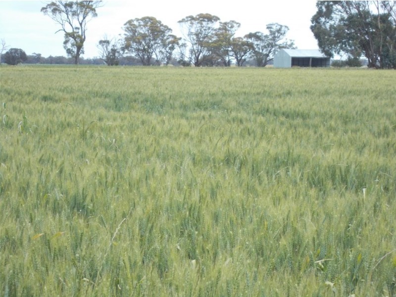 147 Pier Point Road, Wolseley SA 5269