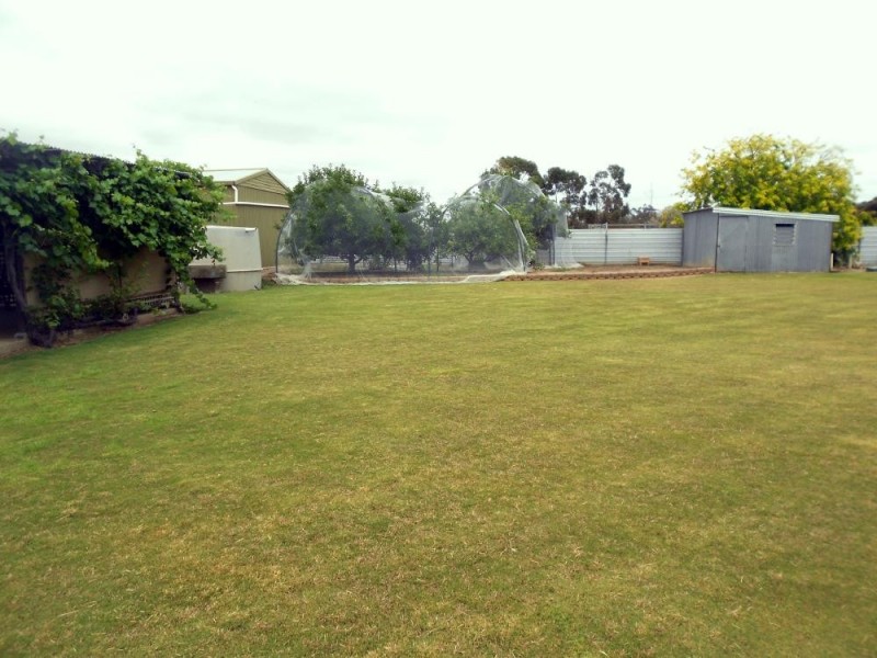 62 Frances Road, Bordertown SA 5268