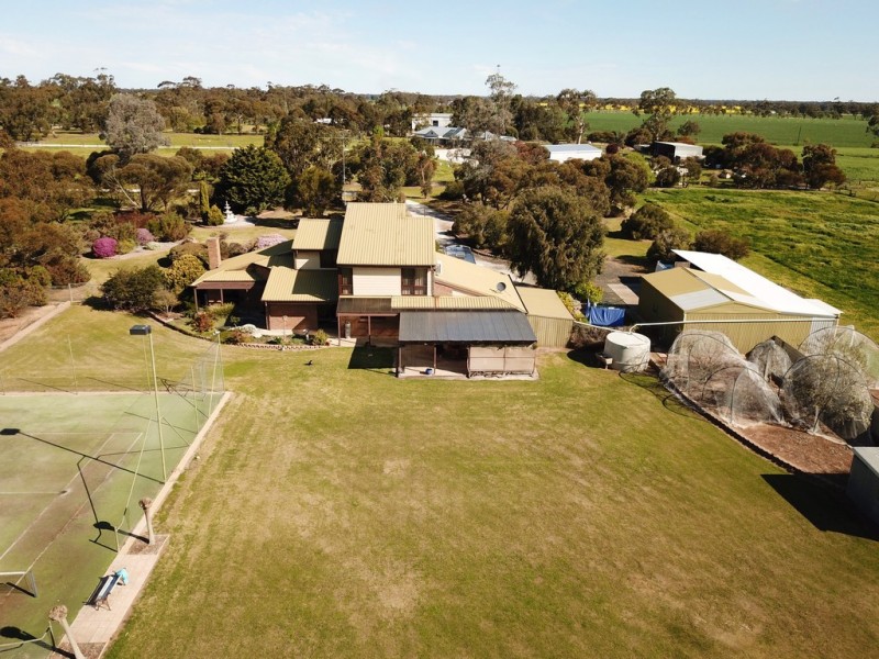 62 Frances Road, Bordertown SA 5268