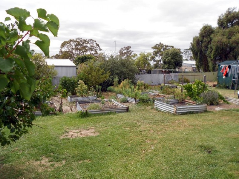 10 Eveline Street, Bordertown SA 5268