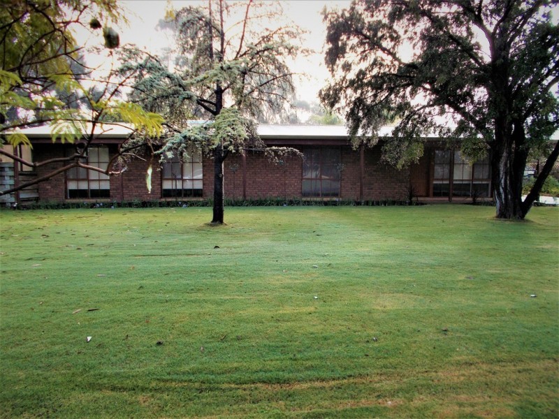 17 Buik Street, Bordertown SA 5268