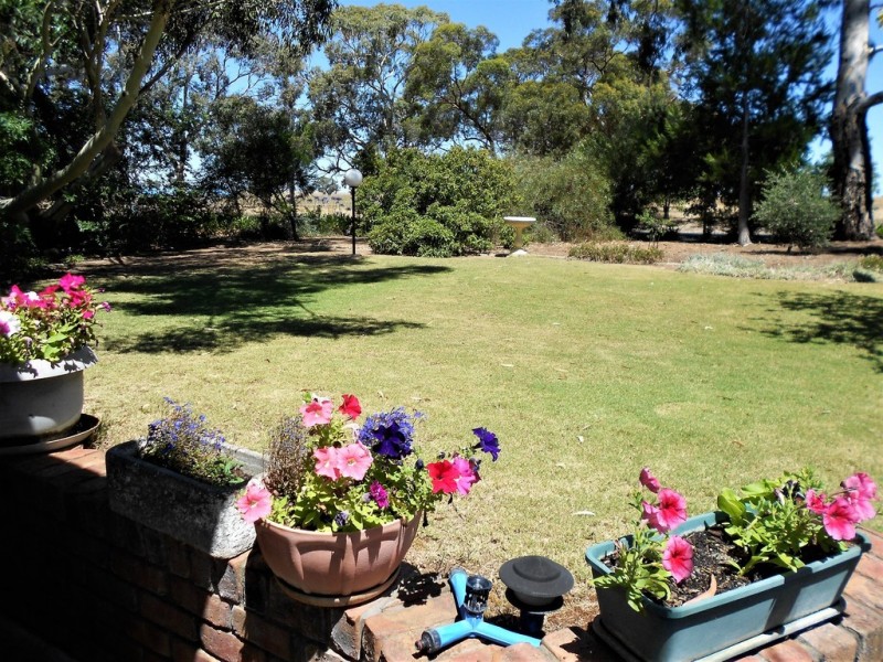 19 Creecoona Terrace, Bordertown SA 5268