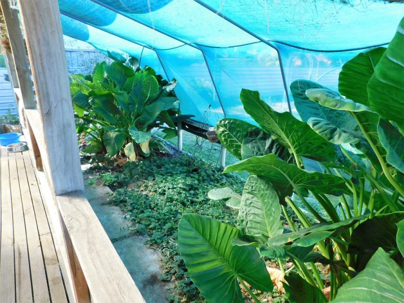 20 Bertha St, Bordertown SA 5268