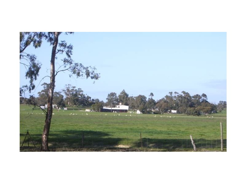 Lot 67 Pinnaroo Rd, Bordertown SA 5268