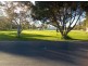 64 Venn Avenue, Bordertown SA 5268