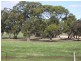 21 Creecoona Terrace, Bordertown SA 5268
