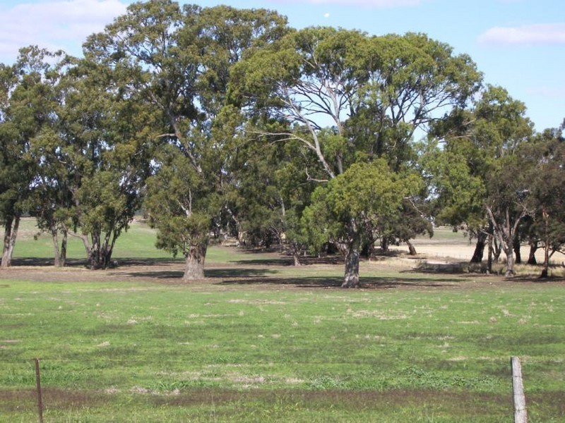 21 Creecoona Terrace, Bordertown SA 5268