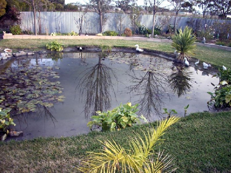 162 Chalk Road, Mundulla SA 5270