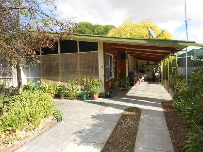 19 Salom Street, Bordertown SA 5268