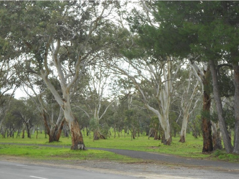 164 Victoria Parade, Bordertown SA 5268