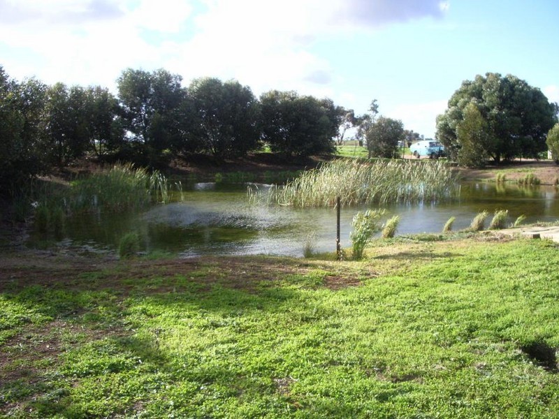 50 Garden St, Wolseley SA 5269