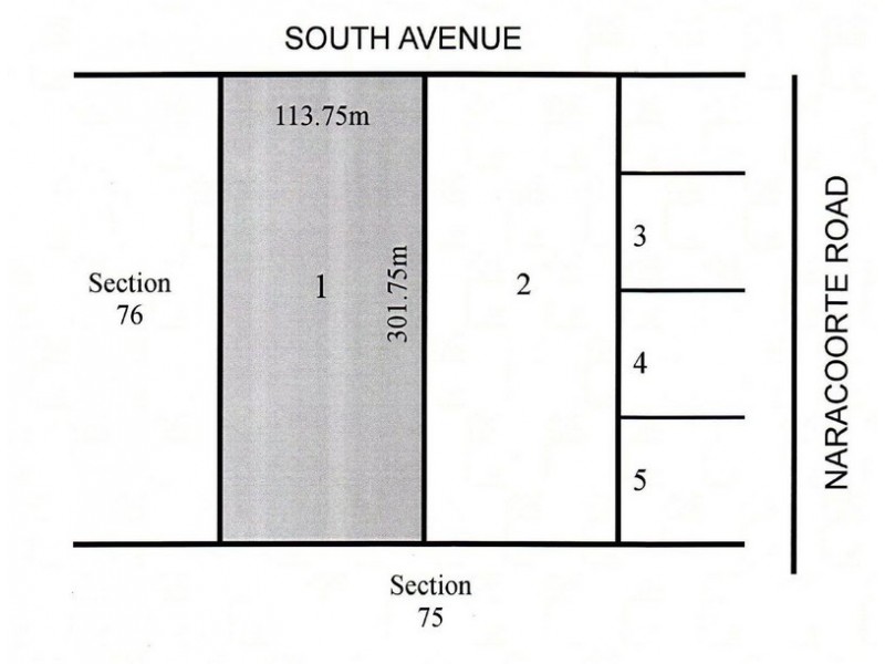 Lot 1 South Ave, Bordertown SA 5268