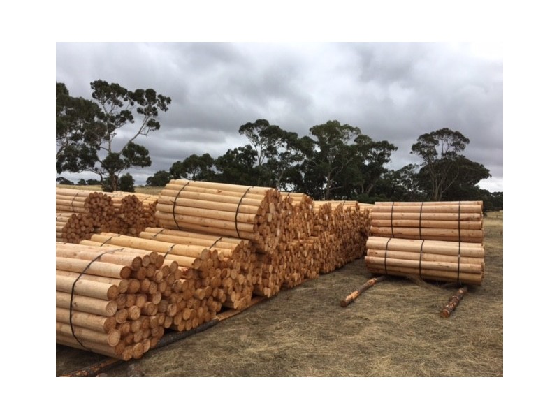 Lot 8 Will Road, Bangham SA 5268