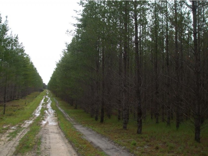 Lot 8 Will Road, Bangham SA 5268