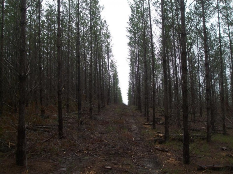 Lot 8 Will Road, Bangham SA 5268