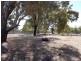 216 and 217 RAMSAY TERRACE, Bordertown SA 5268