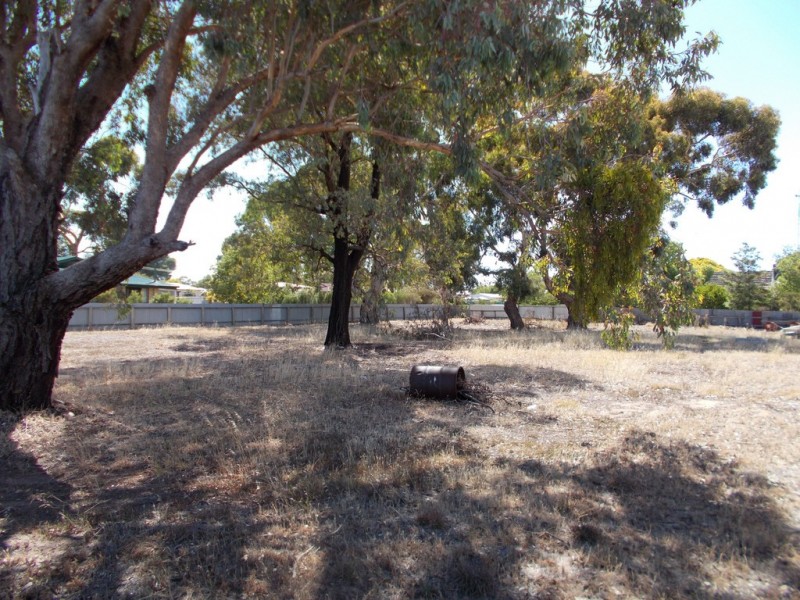 216 and 217 RAMSAY TERRACE, Bordertown SA 5268