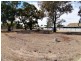 216 and 217 RAMSAY TERRACE, Bordertown SA 5268