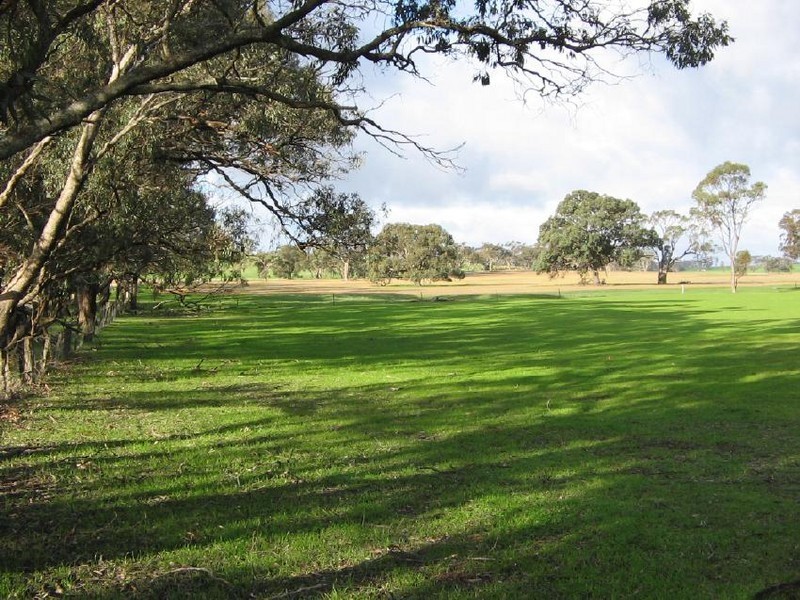 Henniker Canterbury Park, Bordertown SA 5268