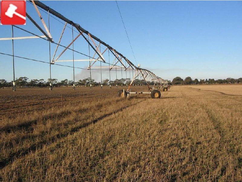 Lots 41 and 42 Cnr Meatworks Rd and Dukes Hwy, Bordertown SA 5268