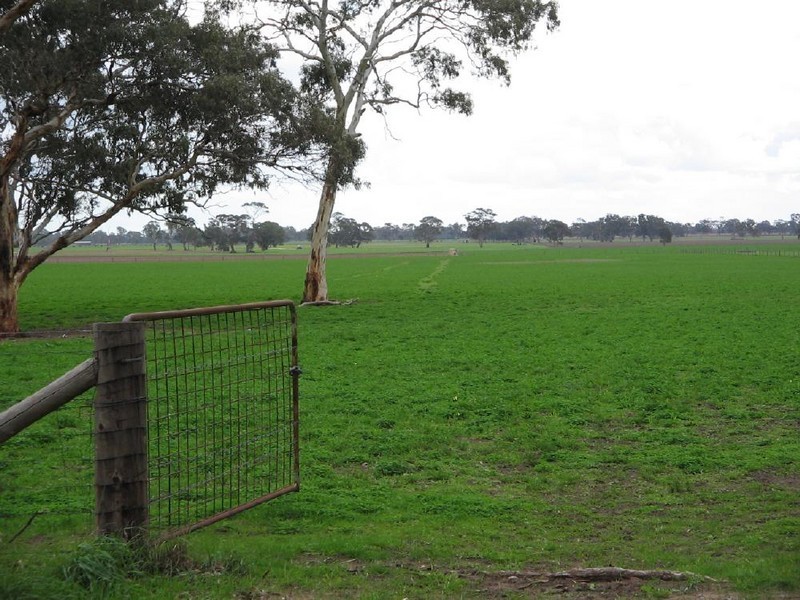 Lots 41 and 42 Cnr Meatworks Rd and Dukes Hwy, Bordertown SA 5268